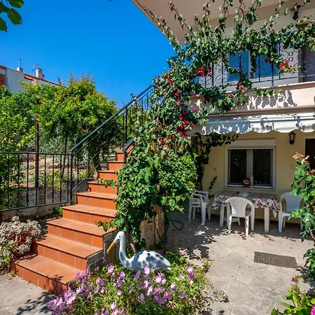 Dolphin Apartament *