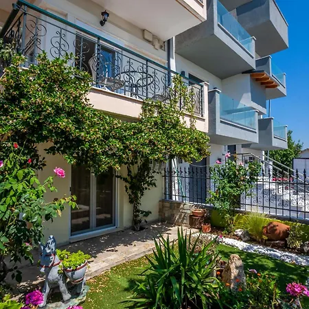 Dolphin Apartament *