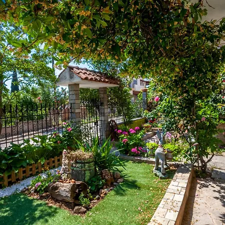 Dolphin Apartament *