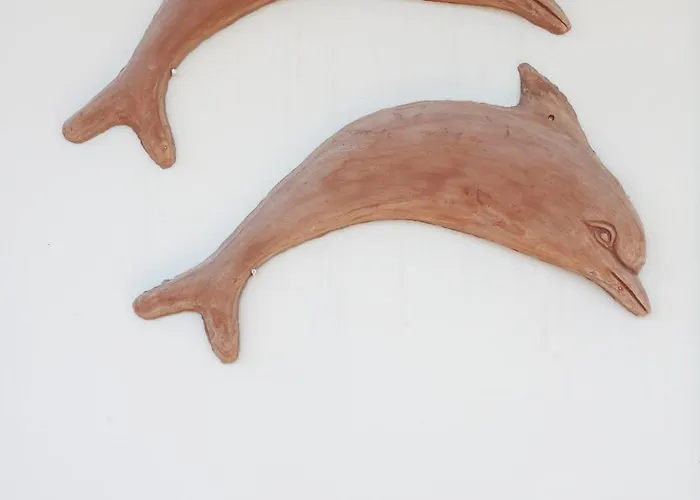Dolphin * Flogita
