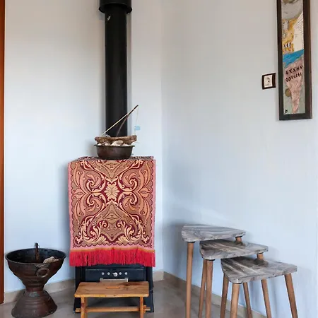 Appartamento Dolphin *