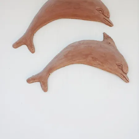 Dolphin * Flogita